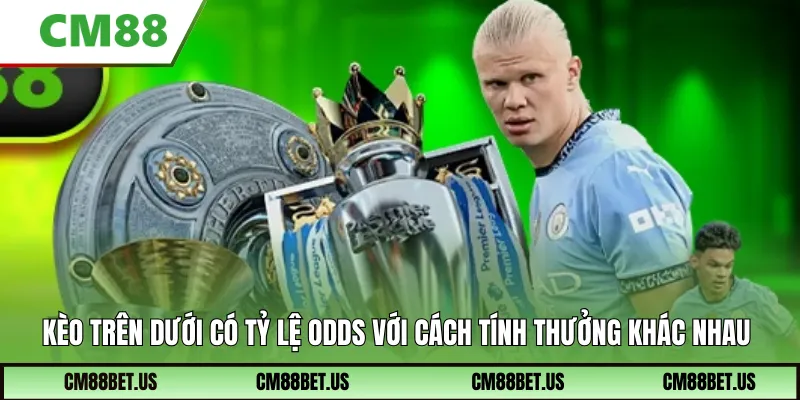Kèo trên dưới có rất nhiều tỷ lệ odds với cách tính thưởng khác nhau